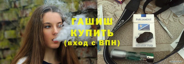 индика Алексин