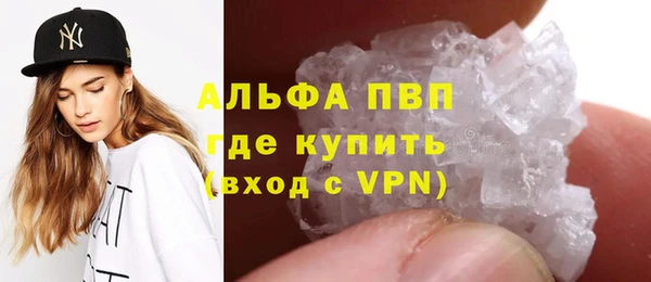 индика Алексин
