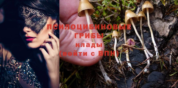 индика Алексин