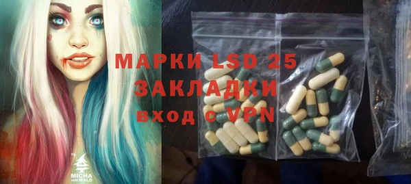 индика Алексин