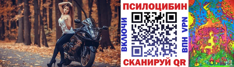Галлюциногенные грибы прущие грибы  Багратионовск 